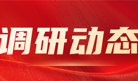 集团公司纪委委员、总会计师袁媛赴润锦城公司开展资产管理专项调研